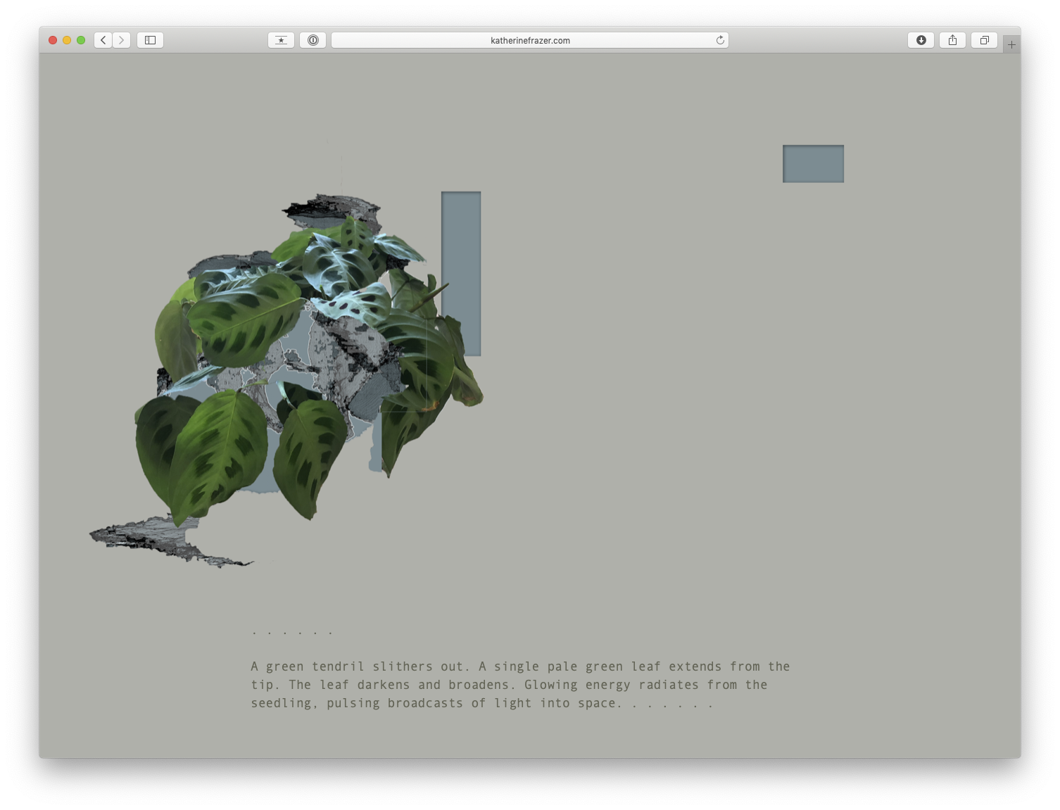 a screenshot of a browser on a simple website. a manipulated image of a plant appears alongside text