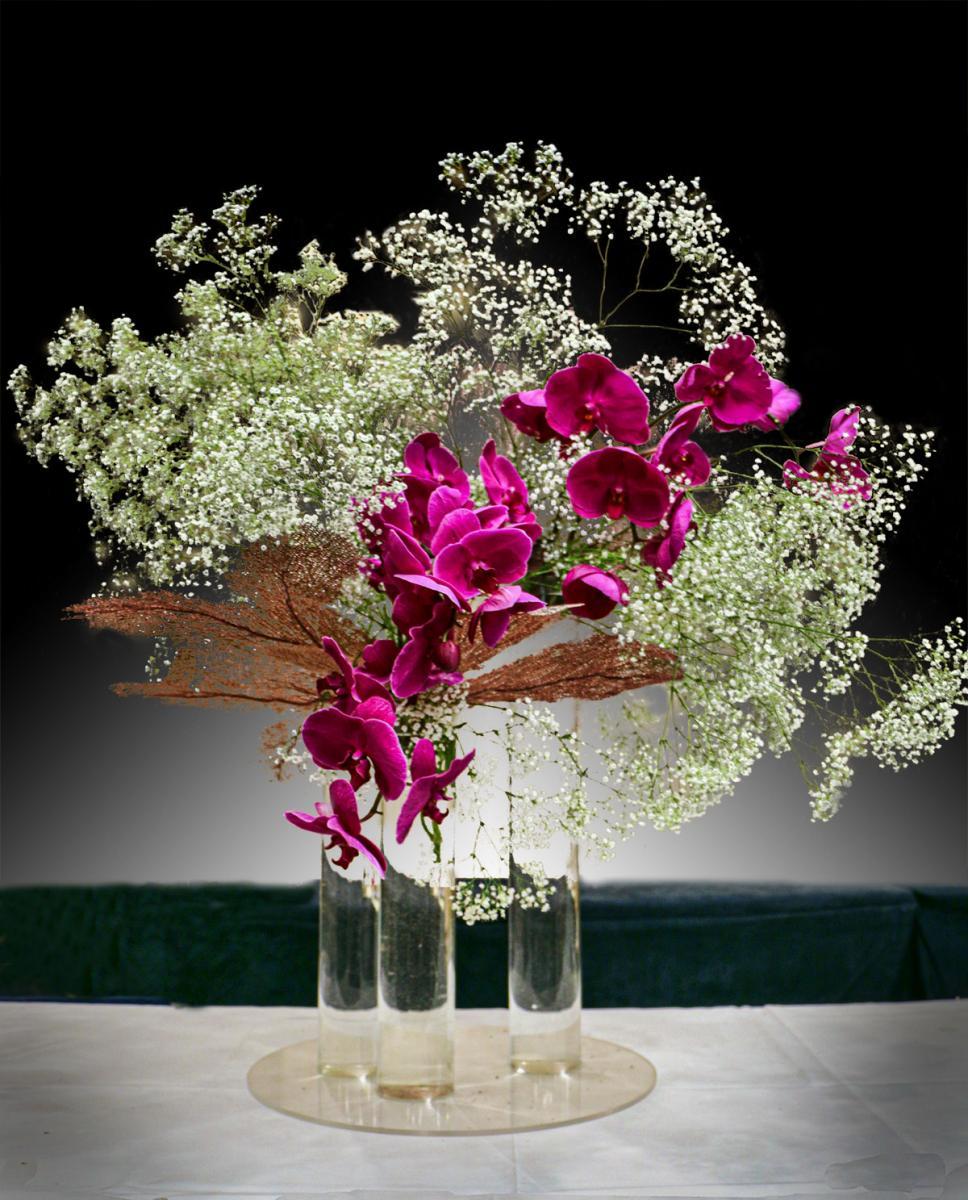 A floral arrangement comprised of three tubular, clear glass vases holding purple orchids and baby’s breath