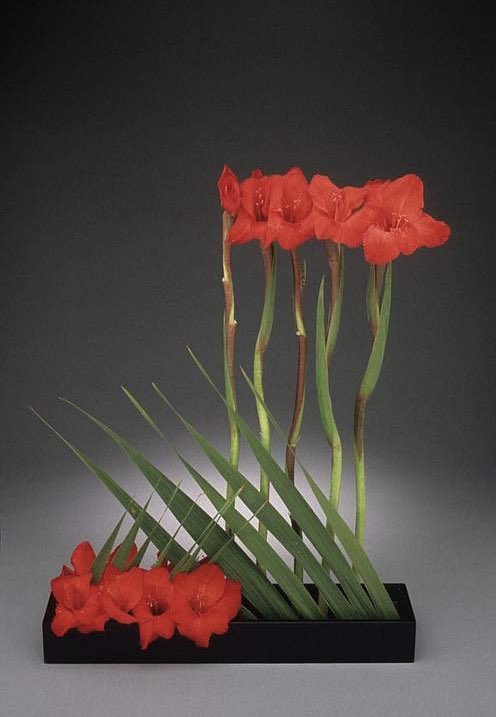 A floral arrangement made red flowers standing vertically, with their leaves crossing them at a 45 degree angle