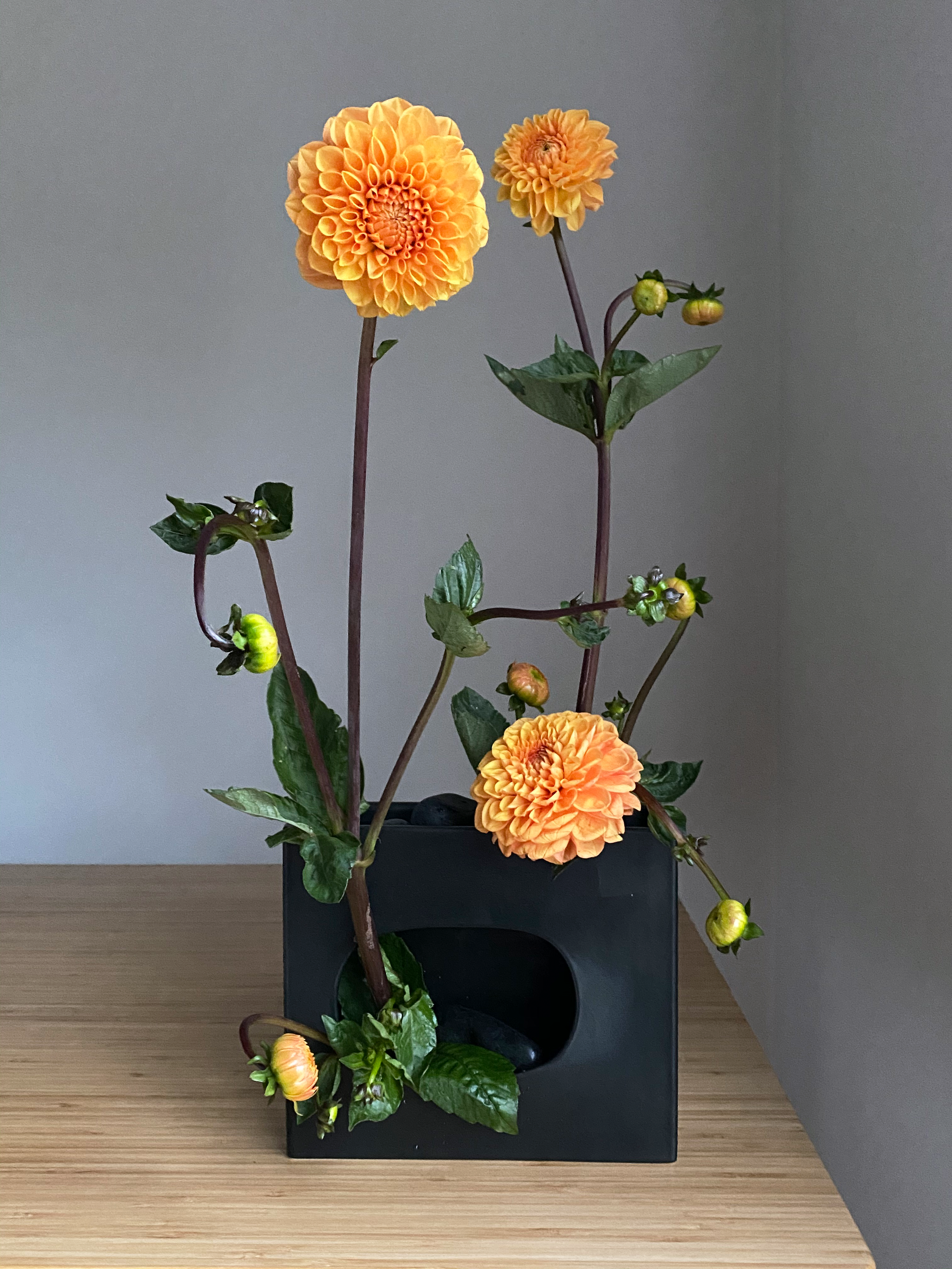 A floral arrangement made up of three orange dahlias, in a rectangular vase. The vase has a circular hole in the middle, where one dahlia is coming out. The top of the vase dips down, holding two other dahlias.